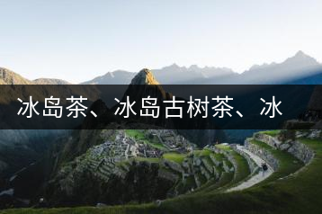 冰島茶、冰島古樹(shù)茶、冰島茶區(qū)茶、冰島茶區(qū)古樹(shù)茶