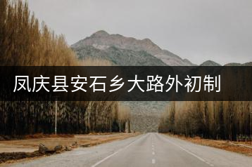 鳳慶縣安石鄉(xiāng)大路外初制所