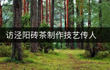 訪涇陽磚茶制作技藝傳人、陜西省非遺傳承人賈根社