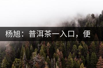楊旭：普洱茶一入口，便知產(chǎn)地和年份