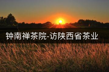 鐘南禪茶院-訪陜西省茶業(yè)協(xié)會(huì)副秘書(shū)長(zhǎng)楊元