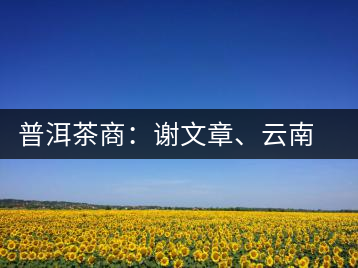 普洱茶商：謝文章、云南谷申商貿(mào)有限公司總經(jīng)理