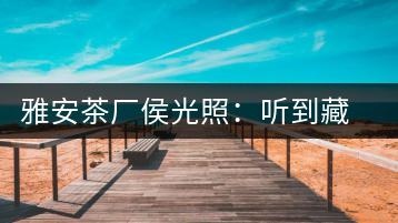 雅安茶廠侯光照：聽(tīng)到藏茶時(shí)代的腳步聲