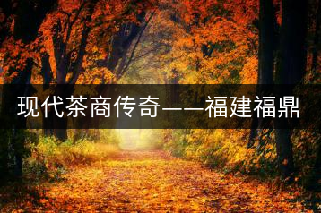 現代茶商傳奇——福建福鼎“品品香”茶業(yè)