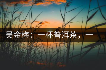 吳金梅：一杯普洱茶，一份云南情