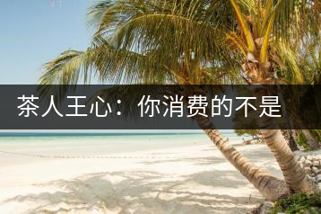 茶人王心：你消費(fèi)的不是茶，是我