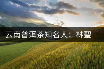云南普洱茶知名人：林聖泰