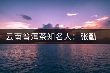 云南普洱茶知名人：張勤民