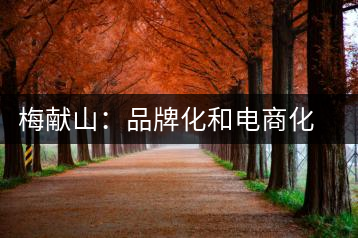 梅獻(xiàn)山：品牌化和電商化成為茶產(chǎn)業(yè)的第三個轉(zhuǎn)機(jī)