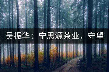 吳振華：寧思源茶業(yè)，守望家鄉(xiāng) 做好“金獎茶王”