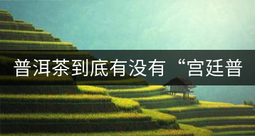 普洱茶到底有沒有“宮廷普洱”一說？它到底是什么？