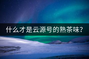什么才是云源號的熟茶味？