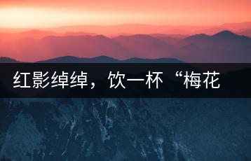 紅影綽綽，飲一杯“梅花”醉