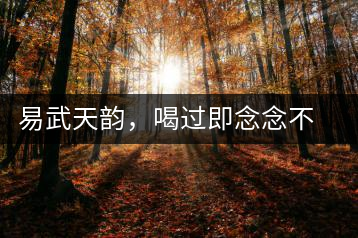 易武天韻，喝過即念念不忘的茶中皇后