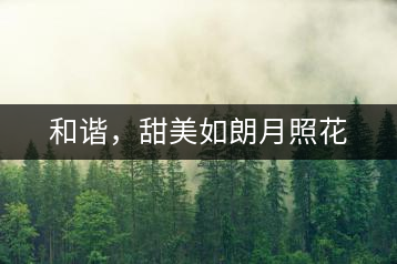 和諧，甜美如朗月照花