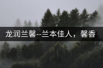 龍潤蘭馨–蘭本佳人，馨香高雅