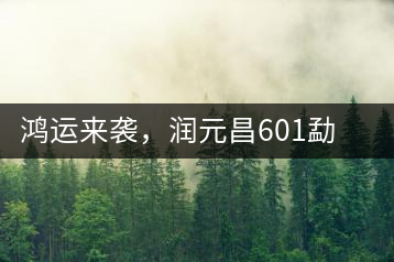 鴻運來襲，潤元昌601勐海紅韻熟茶即將上市
