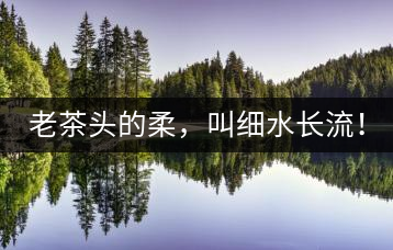 老茶頭的柔，叫細水長流！