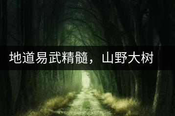 地道易武精髓，山野大樹(shù)珍品—普秀易武生態(tài)喬木圓茶即將上市