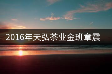 2016年天弘茶業(yè)金班章震撼上市！