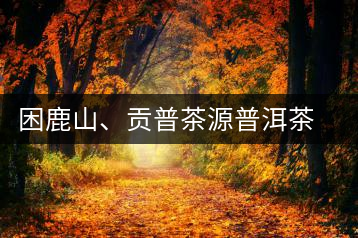 困鹿山、貢普茶源普洱茶羊城受熱捧