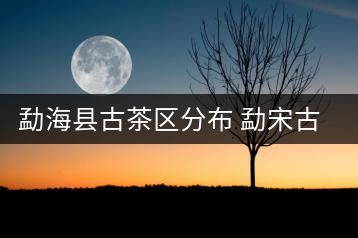 勐?？h古茶區(qū)分布 勐宋古茶山