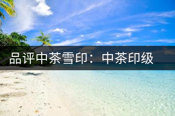 品評(píng)中茶雪?。褐胁栌〖?jí)茶的經(jīng)典傳承