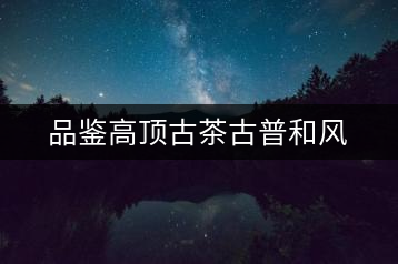 品鑒高頂古茶古普和風(fēng)