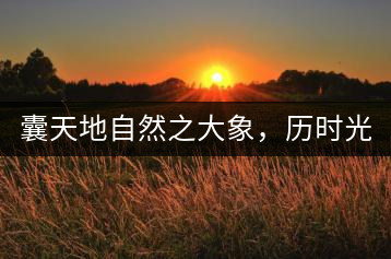 囊天地自然之大象，歷時(shí)光十載流轉(zhuǎn)-皇茶一號(hào)