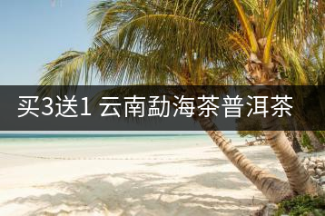 買3送1 云南勐海茶普洱茶生茶餅357g 大樹(shù)普洱云南七子餅茶葉