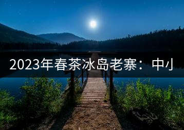 2023年春茶冰島老寨：中小樹(shù)混采2500-3000元／公斤，大樹(shù)：7000-8000元／公斤，古樹(shù)混采：28000-36000元／公斤