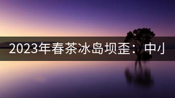 2023年春茶冰島壩歪：中小樹(shù)800元／公斤，古樹(shù)1400-1600元／公斤