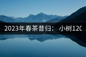2023年春茶昔歸： 小樹1200-1600元／公斤，大樹4500-5200元／公斤，古樹7500-9000元／公斤.
