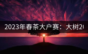 2023年春茶大戶賽：大樹200-300元／公斤，古樹800-1000元／公斤