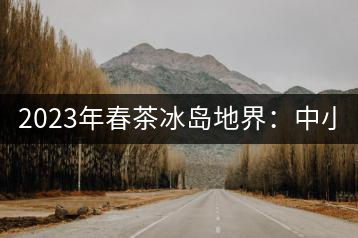 2023年春茶冰島地界：中小樹1300-1500元／公斤，古樹2200~2500元／公斤