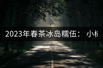 2023年春茶冰島糯伍： 小樹1300元／公斤，古樹：2100~2300元／公斤