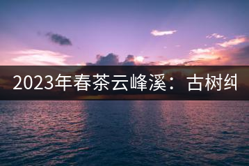 2023年春茶云峰溪：古樹純料：1200-1500元／公斤，古樹混采800-1000元／公斤，大樹500-800元／公斤，小樹300-500元／公斤