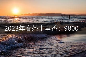 2023年春茶十里香：9800-12000元／公斤，十里香紅茶：9800-12000元／公斤