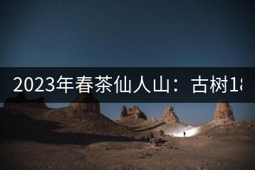 2023年春茶仙人山：古樹1800-2500元／公斤，老曼峨：小樹：600元／公斤 1600-1800元／公斤