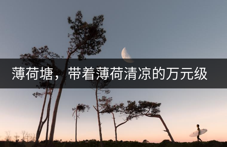 薄荷塘，帶著薄荷清涼的萬元級普洱