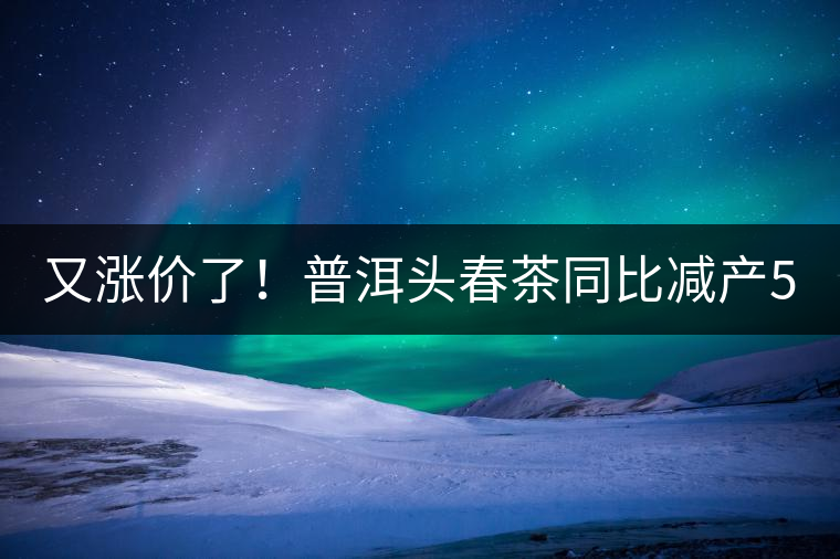 又漲價了！普洱頭春茶同比減產(chǎn)50%，薄荷塘一類鮮葉需當面議價