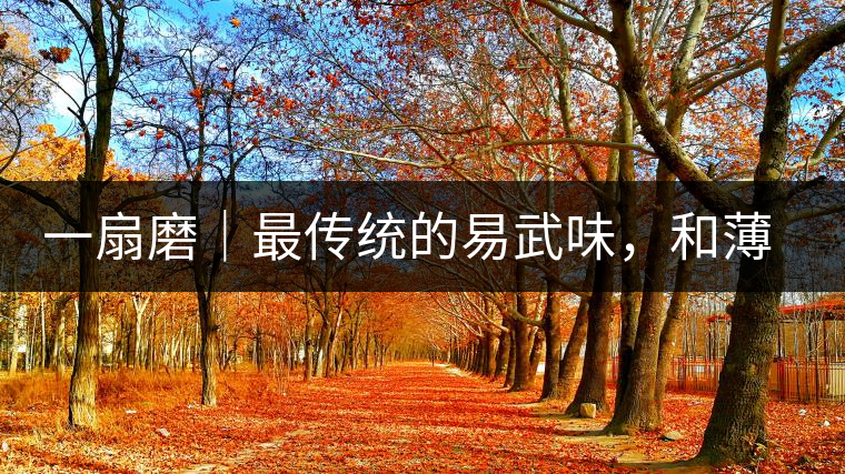 一扇磨｜最傳統(tǒng)的易武味，和薄荷塘一脈同宗，價格卻天差地別