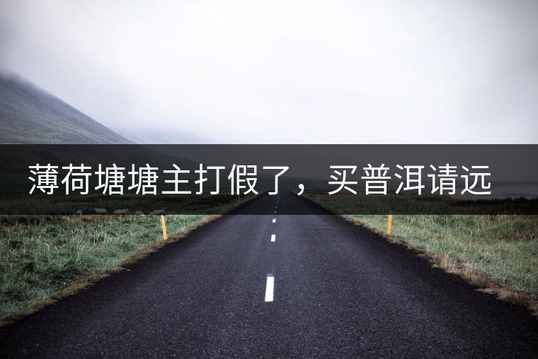 薄荷塘塘主打假了，買普洱請(qǐng)遠(yuǎn)離那些講故事的奸商