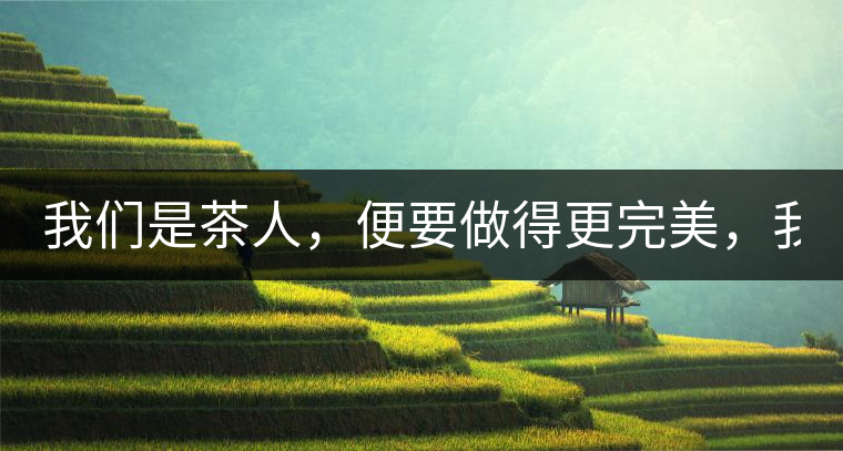 我們是茶人，便要做得更完美，我們是茶客，便要懂得沉默...我們是茶人，便要做得更完美，我們是茶客，便要懂得沉默！