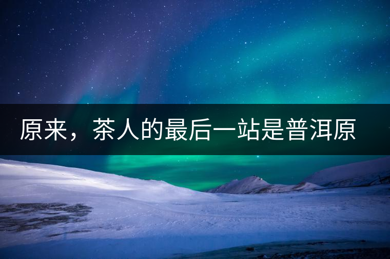 原來，茶人的最后一站是普洱原來，茶人的最后一站是普洱