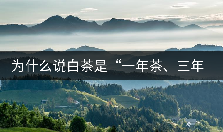 為什么說(shuō)白茶是“一年茶、三年藥、七年寶”?為什么說(shuō)白茶是“一年茶、三年藥、七年寶”？