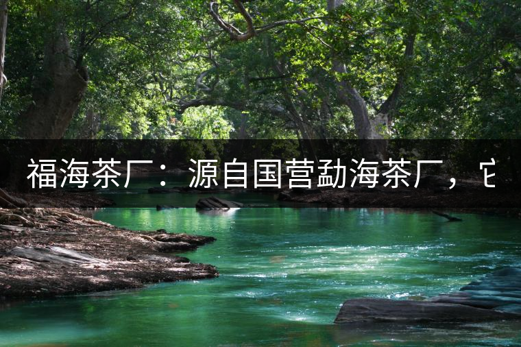 福海茶廠：源自國營勐海茶廠，它是99易武綠星星之母
