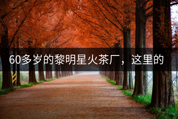 60多歲的黎明星火茶廠，這里的人依然在做茶