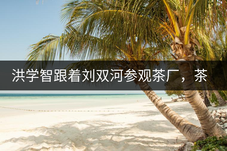 洪學智跟著劉雙河參觀茶廠，茶廠黃老板對賣苦力的百姓百般欺凌