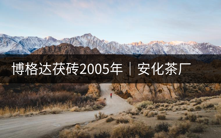 博格達茯磚2005年｜安化茶廠定制款，金花滿披，梅山韻濃！